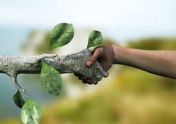 Dia do Meio Ambiente