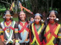 Dia dos Povos Indígenas